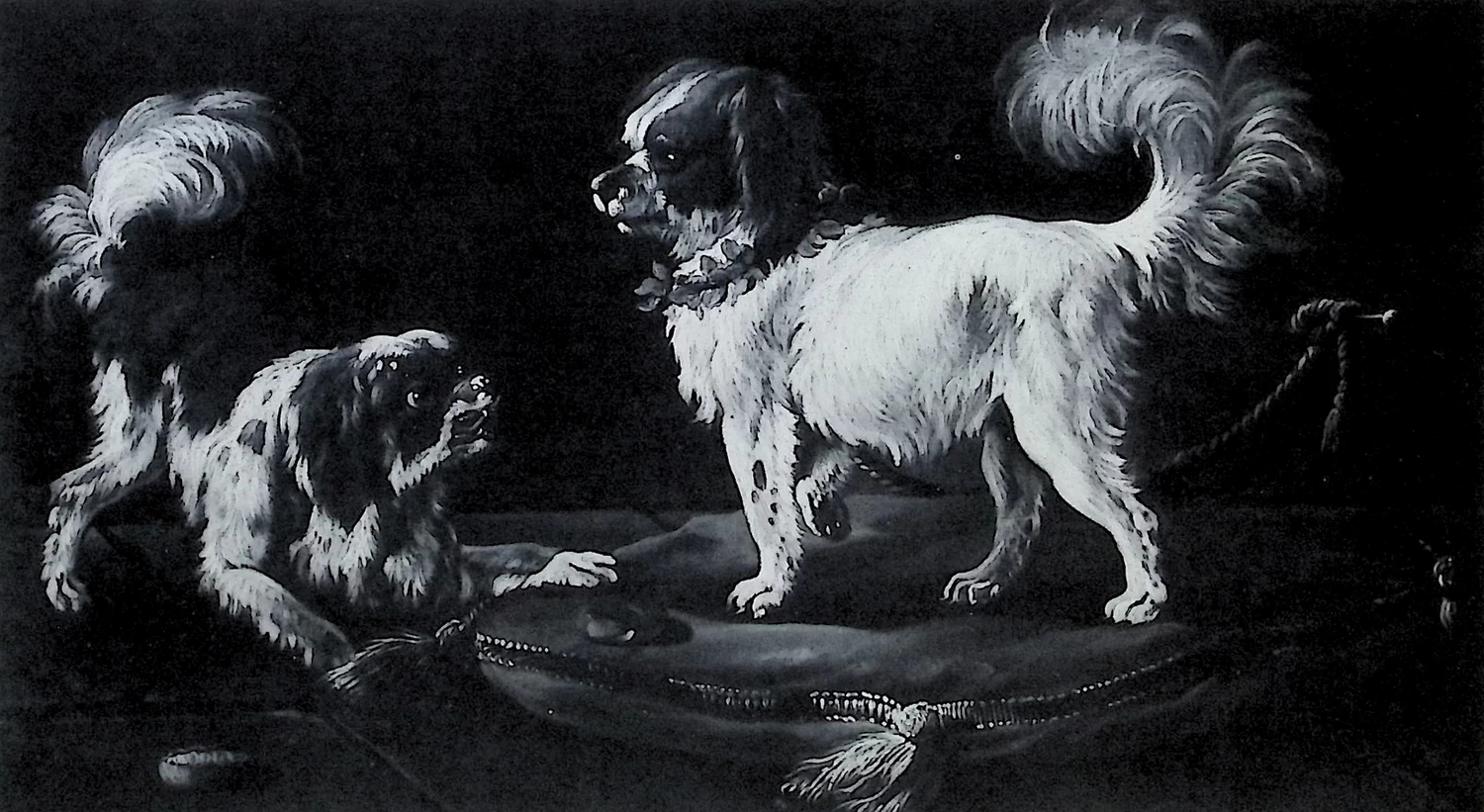 Giacomo Ceruti, il Pitocchetto - 291, Ritratto di cani 1